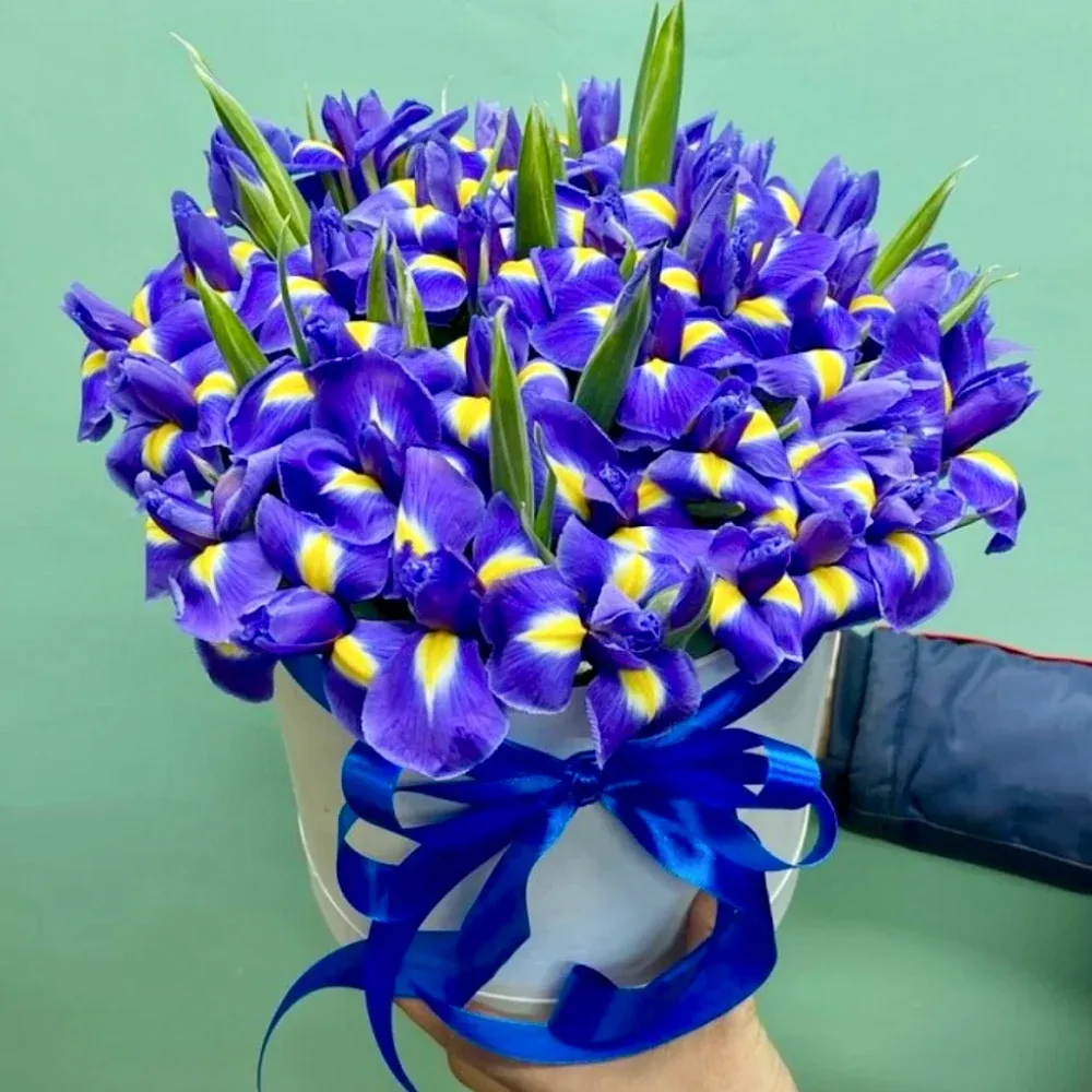 Ирисы в шляпной коробке