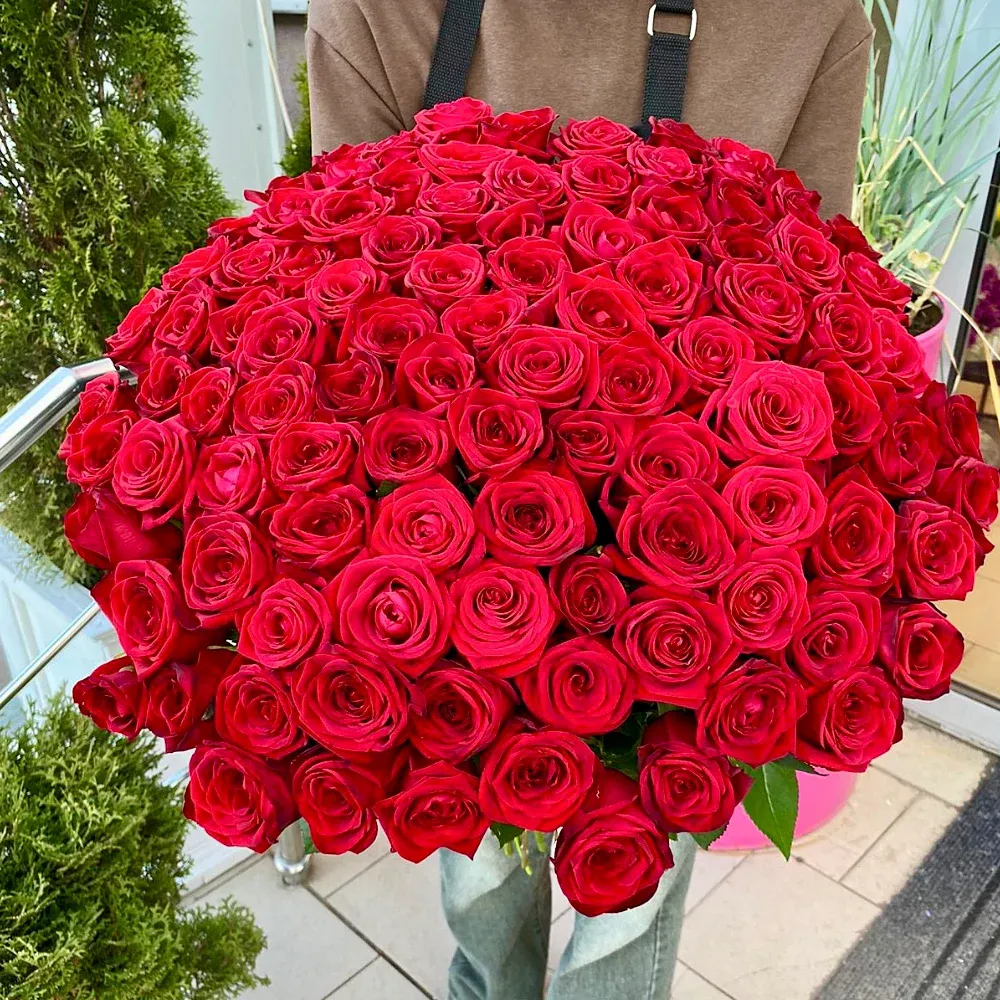 Розы Россия