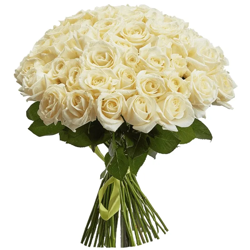 Букет из 51 белой розы