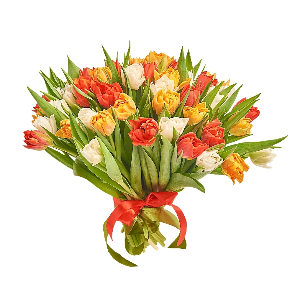 Букет из 51 разноцветного пионовидного тюльпана