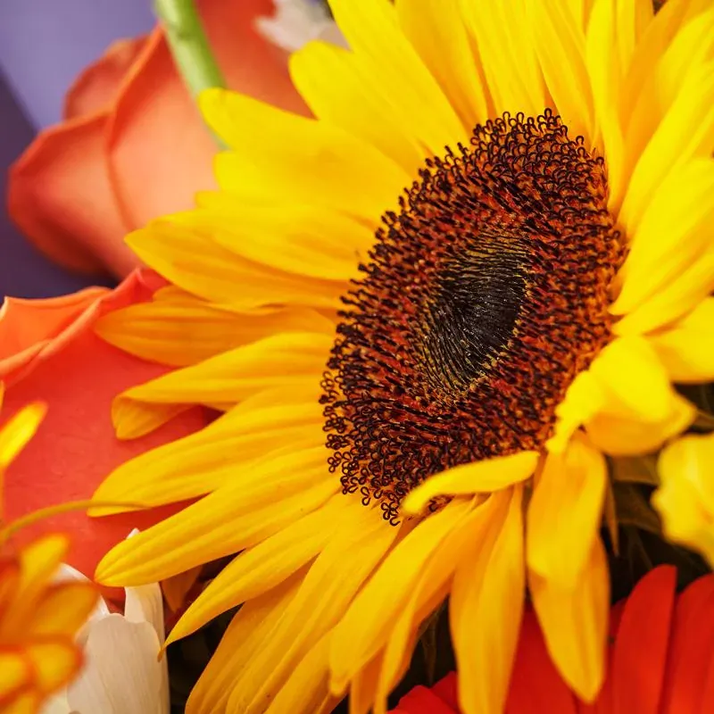 Букет «Светлое утро»