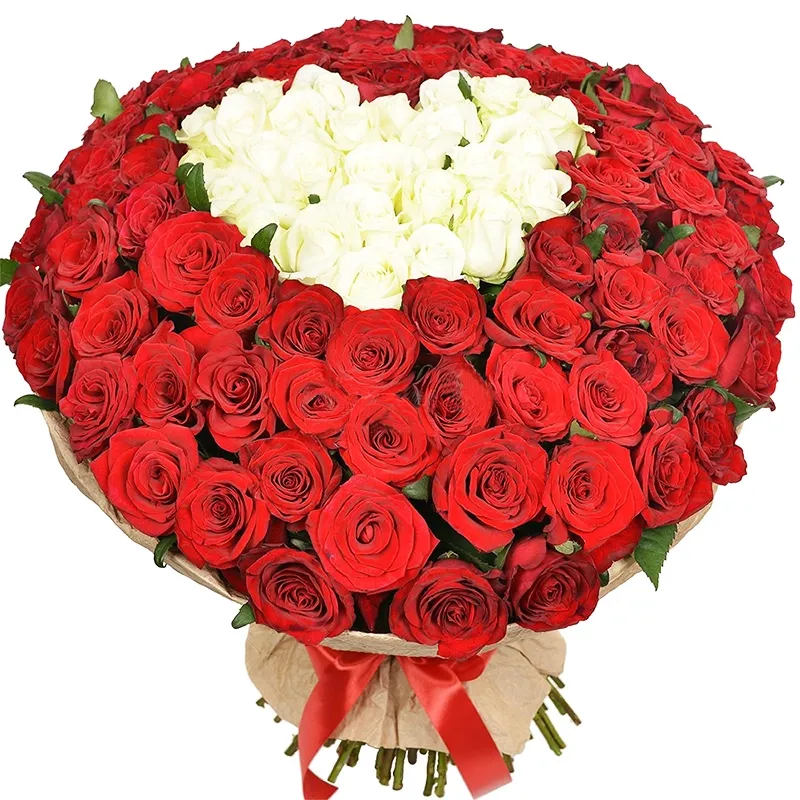 Букет из 101 красной и белой розы