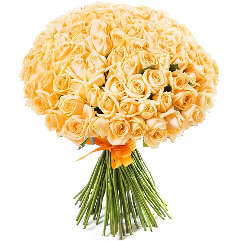 Букет из 101 персиковой розы россия (70 см)