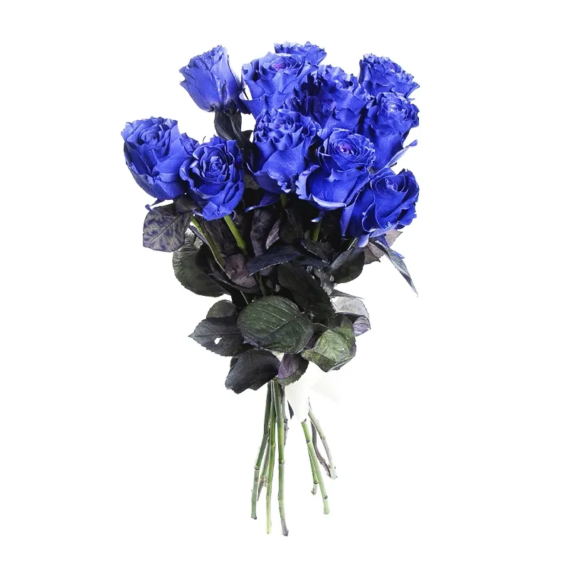 Букет из 11 синих роз премиум