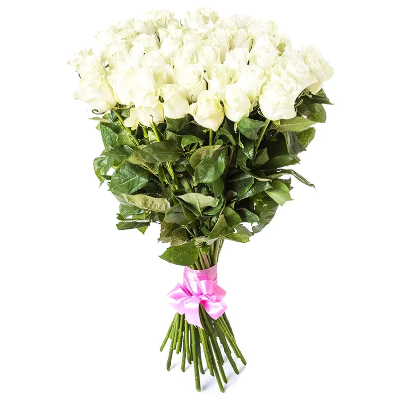 Букет из 51 белой розы под ленту