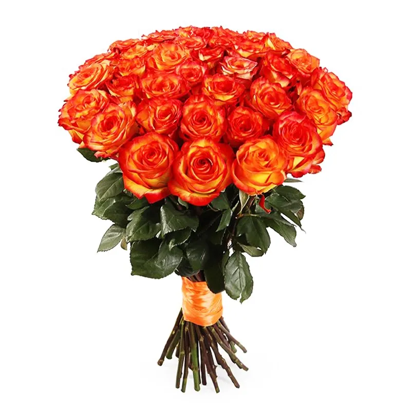 Букет из 35 оранжевых роз премиум