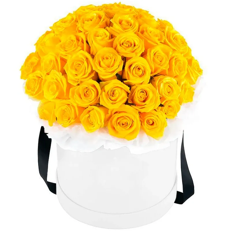 Цветы в коробке «Черта свободы»