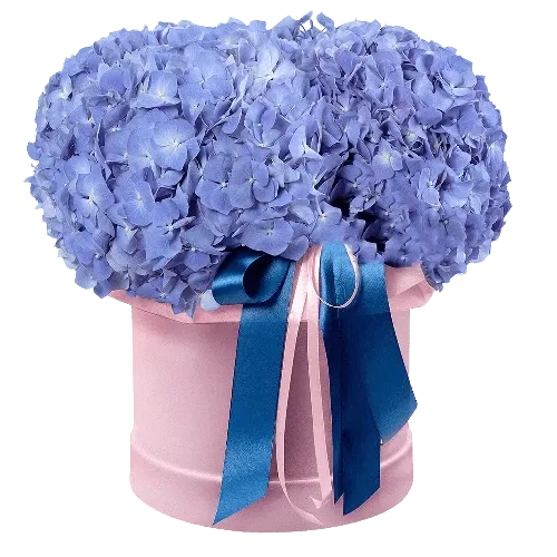 Цветы в коробке «Голубое небо»