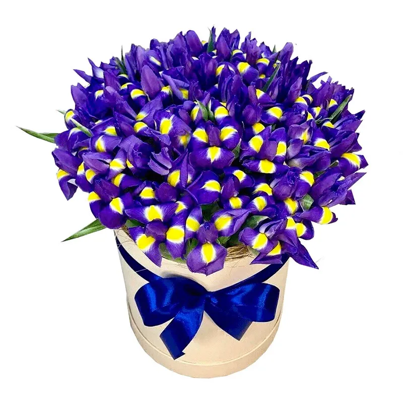 Цветы в коробке «Синяя звезда»