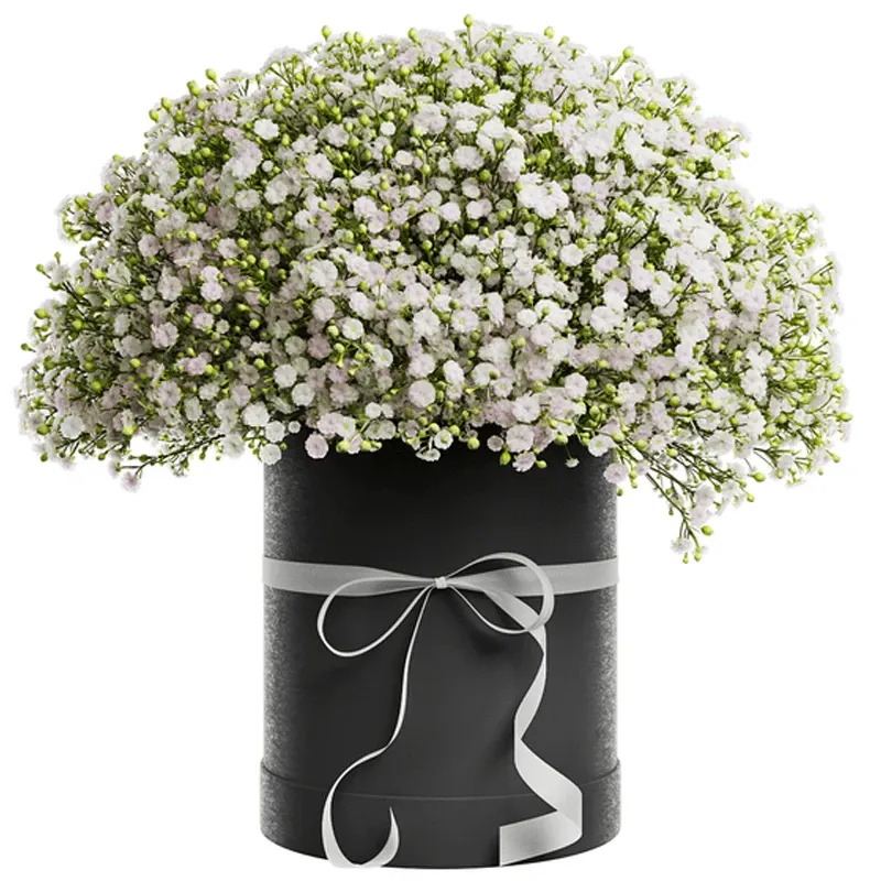 Цветы в коробке «София»