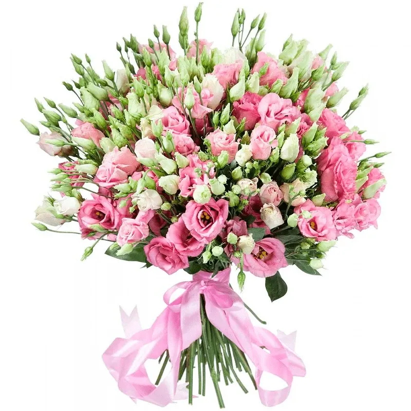 Эустома микс розово-белый