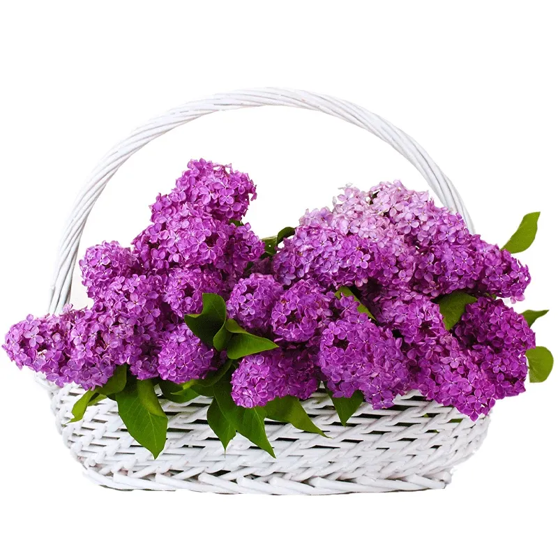 Корзина с цветами «Воздушная мечта»