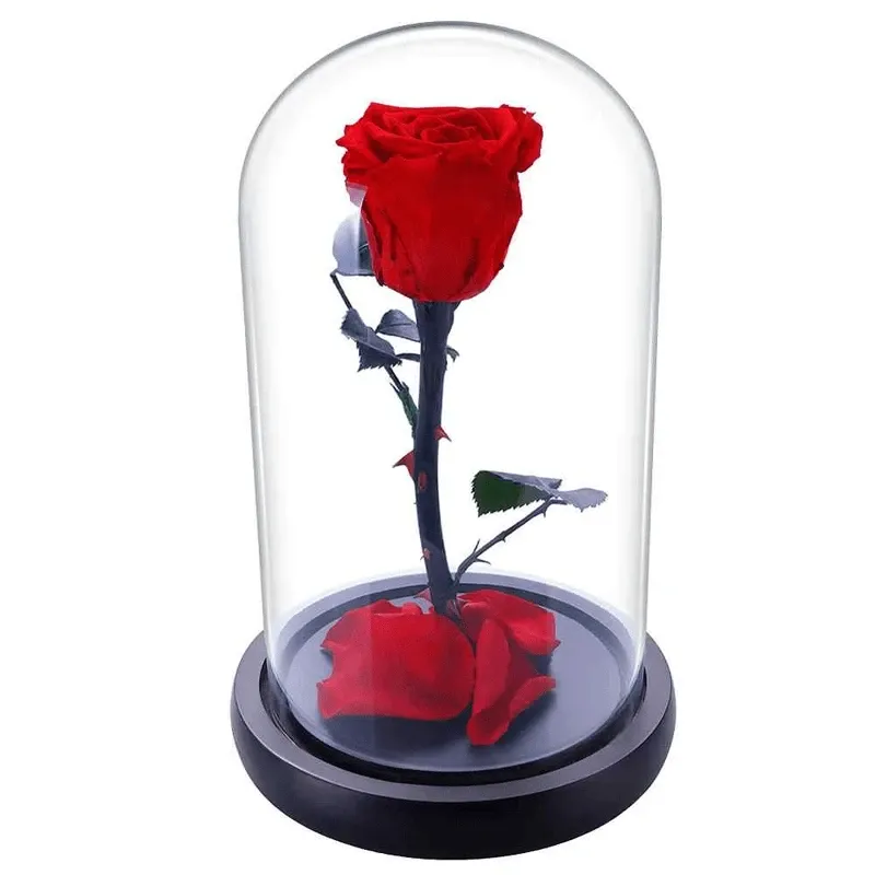 Роза в колбе красная