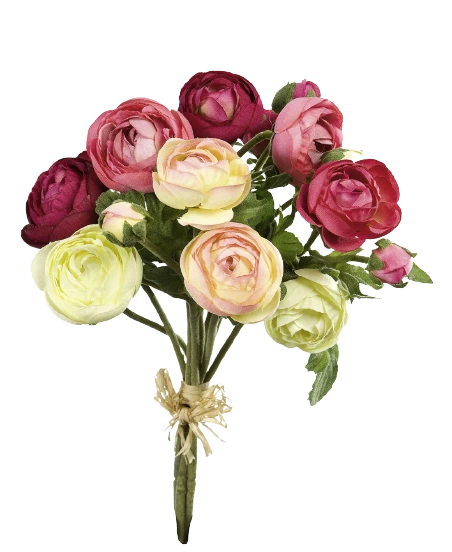 Ранункулюсы